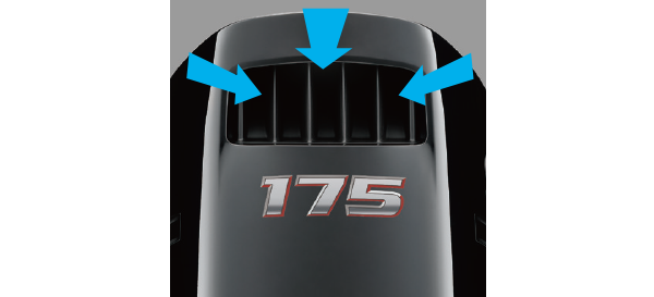 Diagram of Semi-direct Air Intake System