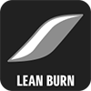 LEAN BURN CONTROL SYSTEM