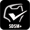 SDSM